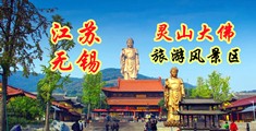 日本40路骚妇江苏无锡灵山大佛旅游风景区