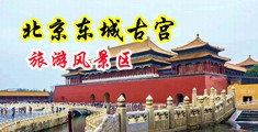 女人日屄视频11p中国北京-东城古宫旅游风景区
